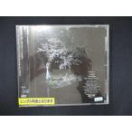 986 в аренду версия CDS весна. ../ marie/Aimer 8989
