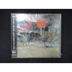 1028 нераспечатанный CD EVERYTHING IS MY FAULT/ Skebo King * разделение иметь 