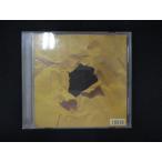 1108 в аренду версия CD New generation/ дождь. pare-do19319