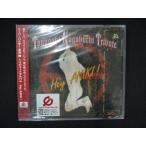 1427☆未開封CD Hey ANIKI! ※ワケ有