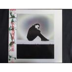 LP/レコード 0084■秋本奈緒美/水彩画/帯付/VIH28200