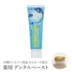 ハミガキ 歯磨き粉 フッ素なし 海の