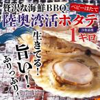 最終出荷日8/10 ほたて 1kg BBQ バーベキュー 活ほたて ベビーほたて ホタテ 殻付き 生食 活ほたて 約20 枚 サイズ1キロ 青森 刺身 生食 帆立 送料無料 陸奥湾