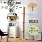 【送料無料】キャットタワー 突っ張り式 省スペース 麻紐 爪とぎ 麻 つっぱり 透明タイプ宇宙船付き 多頭飼い ペットハウス ペット用品 猫