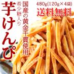 ポイント10倍 訳あり 国産 黄金千貫使用 希少糖入り芋けんぴ480g(120g×4袋) いもけんぴ ポイント消化 送料無料(発送遅いです) TEN