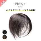 【返品OK】ピンなしウィッグ メルティプラス 部分 ウィッグ ピン不要 白髪隠し 分け目 頭頂部 総手植え ヘアピース 薄毛 女性用 Melty+ウィッグ 髪の長さ約20cm