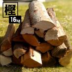 カシ薪 16kg 【送料無料】 薪 広葉樹 乾燥薪 キャンプ アウトドア 焚き火 ピザ窯 薪ストーブ  暖炉 燃料