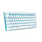 e元素ゲーミングキーボード メカニカル式キーボード USB接続有線青軸81キーアンチゴーストキー 青色LEDバックライト 防水機能付きゲーマー向け英語