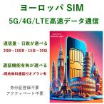 ★オープンセール★ヨーロッパ 33か国 周遊 プリペイド SIMカード 4G データ 通信 15日間 3.5GB データ通信 通話included デンマーク TDC社製品 送料無料 あすつく