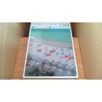 すばらしい世界16　太陽の国メキシコカリ/AAD