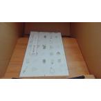 .. слова 100 один день один . написать body выгода NHK выпускать /ABA