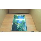 .... цветок 2 YAMAK COLO GUIDE/BDF