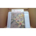  ребенок. ...... san . чуть более .. .... земля культура /BHC