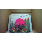 shi.... впервые ....... высота лес .. Хара . старый стрела один ..../ABF