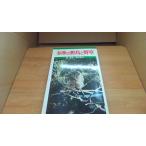  Tama. дикая птица . травы .. высота / Watanabe дешево ./BFA