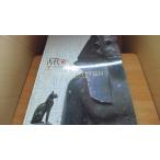  старый плата ejipto выставка lube ru картинная галерея место магазин /ADB