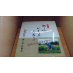 ya........... бог sama c сообщение Oono ../ADC