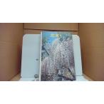  Hanaki 1 / KE PLOR/EDE