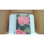  Hanaki 2 цвет GUID/EDE