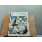  конечно . зеленый информация Yamato .. . садоводство ...1994 год 3 месяц новый вид рассада 1994 год 3 месяц 1 день выпуск 