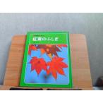 科学のアルバム　紅葉のふしぎ　背表紙ヤケ・シミ有 1996年5月 発行