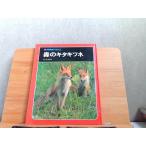  наука. альбом лес. kita kitsune . обложка выгорел * пятна иметь 1996 год 5 месяц выпуск 