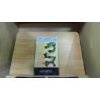  ключ Club Hayakawa мир ошибка teli серии 