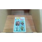  веселый садоводство Восток орхидея .. звук бамбук . рисовое поле ..