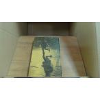 .. линия сверху. Aria Morimura Seiichi 