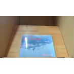  море сверху собственный .. военный корабль . самолет сборник эпоха Heisei 18 года выпуск /DEF