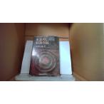 ma.... . лошадь шт. страна Miyazaki . flat .. фирма /DAZH