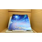  дыра . снег. женщина . проспект /BGA