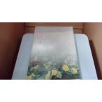 .... три криптомерия . блестящий /EEZL