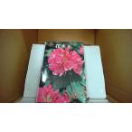  цвет Hanaki 2 гора . цвет гид 45/FBN