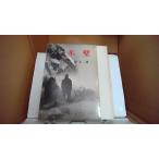  лед стена Inoue Yasushi / работа Shinchosha /FBZG