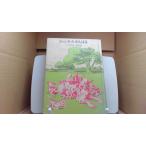  автомобиль n Kett .... Anne H ho wai произведение сосна . правильный . перевод /FCM