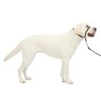 PetSafe( домашнее животное safe )jentoru Leader .. обивка предотвращение head цвет собака для прогулка тренировка черный L размер 