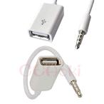 AUXオーディオジャックプラグからUSB 2.0メスへの変換ケーブル、コンバーターケーブルのみ カーAUXポート カーアクセサリ AUX端子から