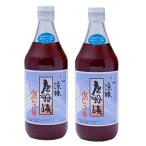唐船峡 涼味唐船峡めんつゆ 500ml ×2本