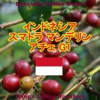 コーヒー豆 クーポン割 インドネシア マンデリン 250g スマトラ Ｇ１ ビッグアチェ フレンチロースト 珈琲豆