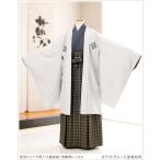 小学校卒業式　男　袴レンタル「ホワイトグレーに金若松袴」jmo025〔12歳〕〔紋付レンタル〕〔結婚式〕〔12歳〕〔着物レンタル〕〔150cm/155cm〕