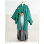 день совершеннолетия . есть hakama в аренду mo022s мужчина кимоно в аренду мужской модный перо тканый hakama Новый год симпатичный . костюм мех мужчина шаль зеленый / зеленый 