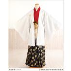  церемония окончания hakama в аренду мужчина mo802-4. есть hakama полный комплект кимоно в аренду мужской перо тканый hakama популярный симпатичный модный свадьба Event белый перо тканый Takeda .× красный земля кимоно . чёрный золотой hakama 