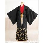  церемония окончания hakama в аренду мужчина свадьба mo803. есть hakama в аренду перо тканый hakama полный комплект симпатичный модный популярный мужской Event чёрный перо тканый Takeda .× красный земля кимоно . чёрный золотой hakama 