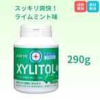  Lotte жевательная резинка с ксилитом lime мята 290g бутылка модель специальная пища для здоровья большая вместимость LOTTE жевательная резинка .. восстановленный 