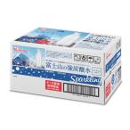 富士山の強炭酸水 500ml x 24本 ラベルレス コストコ