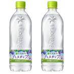 ショッピング水 2ケースセット 【 北海道限定 】 い・ろ・は・す I LOHAS ハスカップ 540 ml × 24本 ２箱 48本 セット ミネラルウォーター ご当地　いろはす 天然水