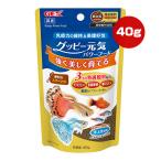 グッピー元気 パワーフード 40g ジェックス ▼a ペット フード 観賞魚 熱帯魚 昆虫原料 浮上性顆粒 国産 GEX 31142