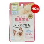 ねこちゃんの国産牛乳を使ったスープごはん ささみ＆まぐろ 成猫用 40g ドギーマンハヤシ ▼a ペット フード 猫 キャット ウェット パウチ 国産 CE-07
