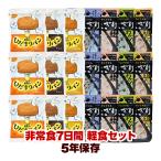 非常食 7日間 軽食セット 7種類21食 携帯おにぎり ひだまりパン 尾西食品 5年保存 非常食セット 防災グッズ 送料無料
